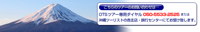 ニコニコツアー専用ダイヤル050-5533-2525または沖縄ツーリスト各支店・旅行センターにてお受け致します。