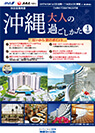 はいから夏号