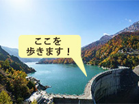 plan_sub1