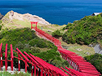 plan_sub1