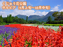 plan_sub1