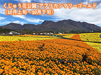 plan_sub1