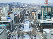 plan_sub1