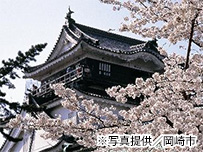 plan_sub1
