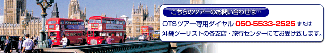 ニコニコツアー専用ダイヤル050-5533-2525または沖縄ツーリストの各支店・旅行センターにてお受け致します。
