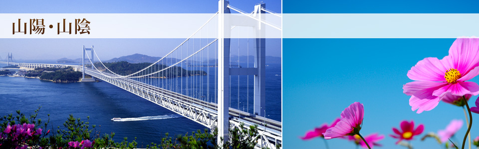 �R�z�E�R�A�C���[�W