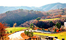 tour_image