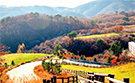 tour_image