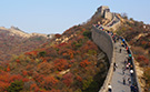 tour_image