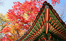 tour_image
