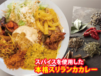 plan_sub1