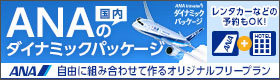 ana travel